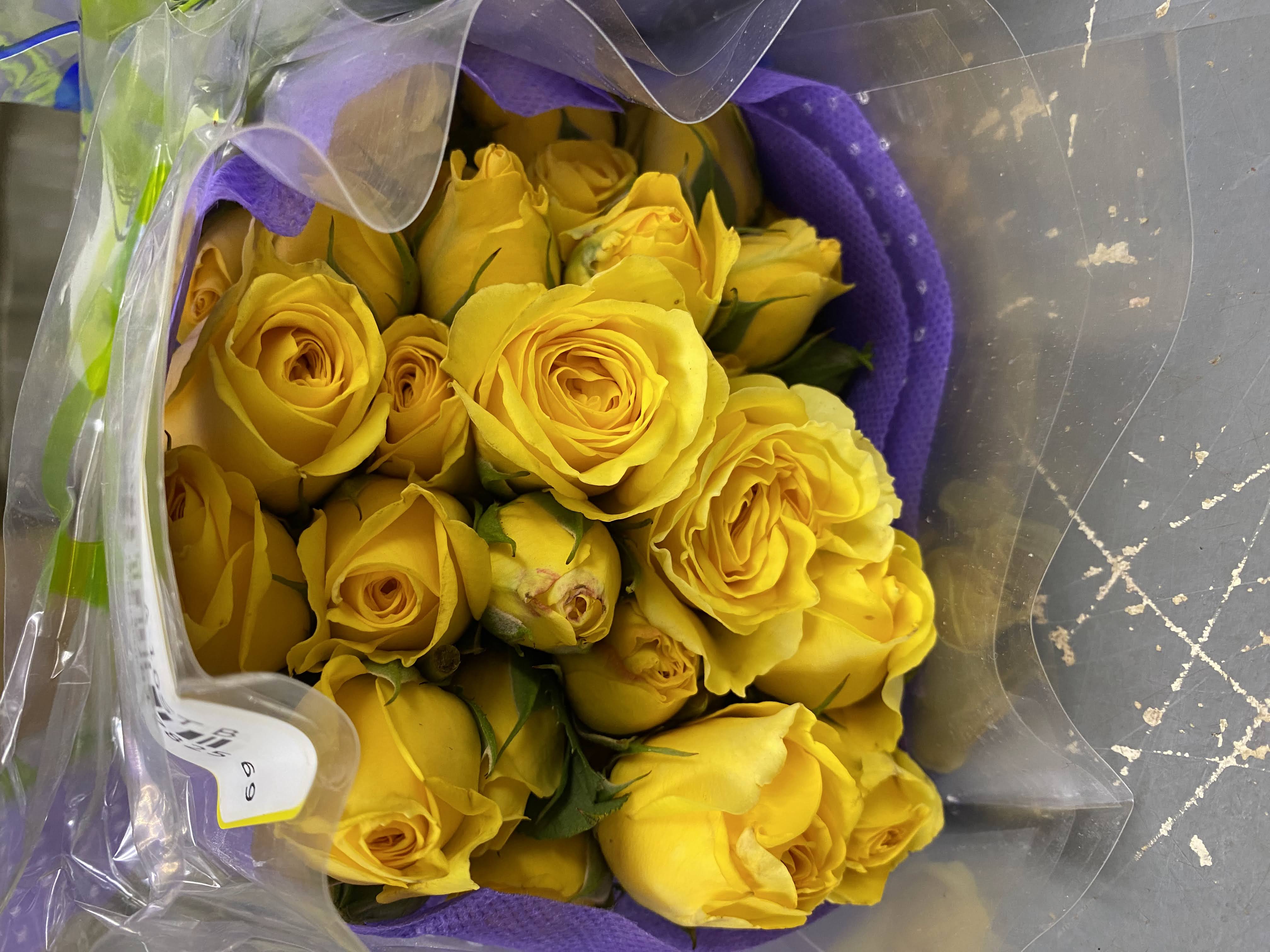 Yellow Spray Roses